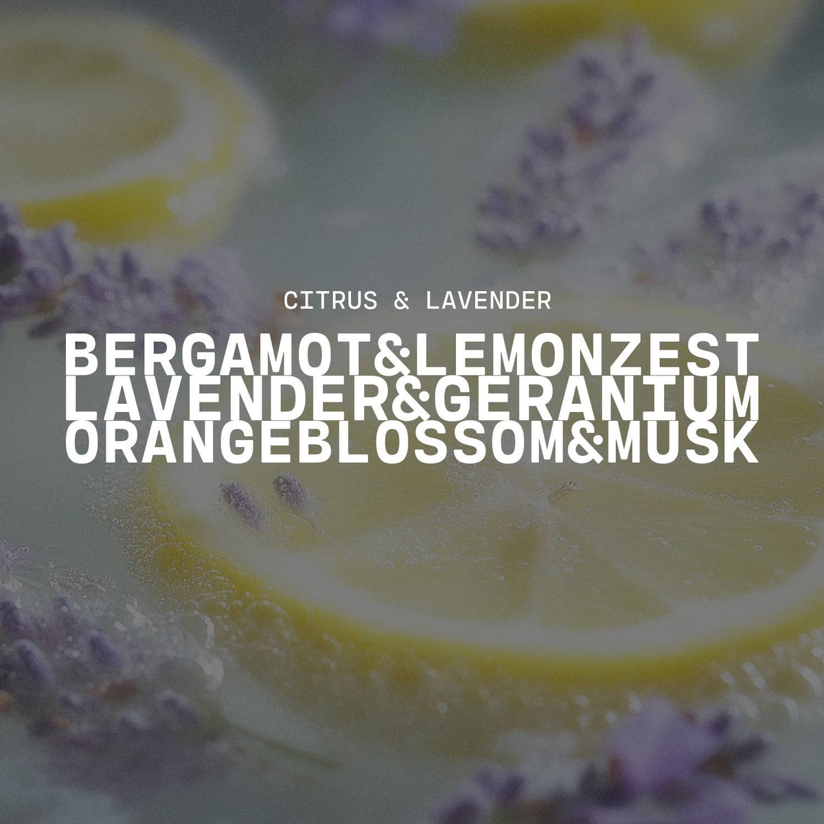 5 oz Cream Jar Candle: Citrus & Lavender