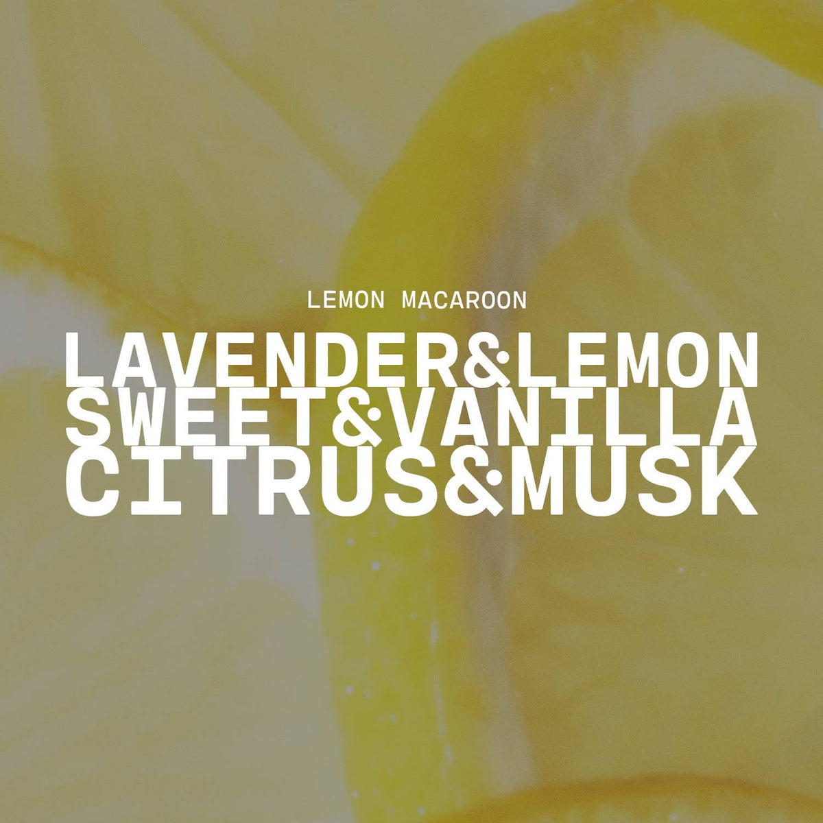 5 oz Cream Jar Candle: Lemon Macaroon