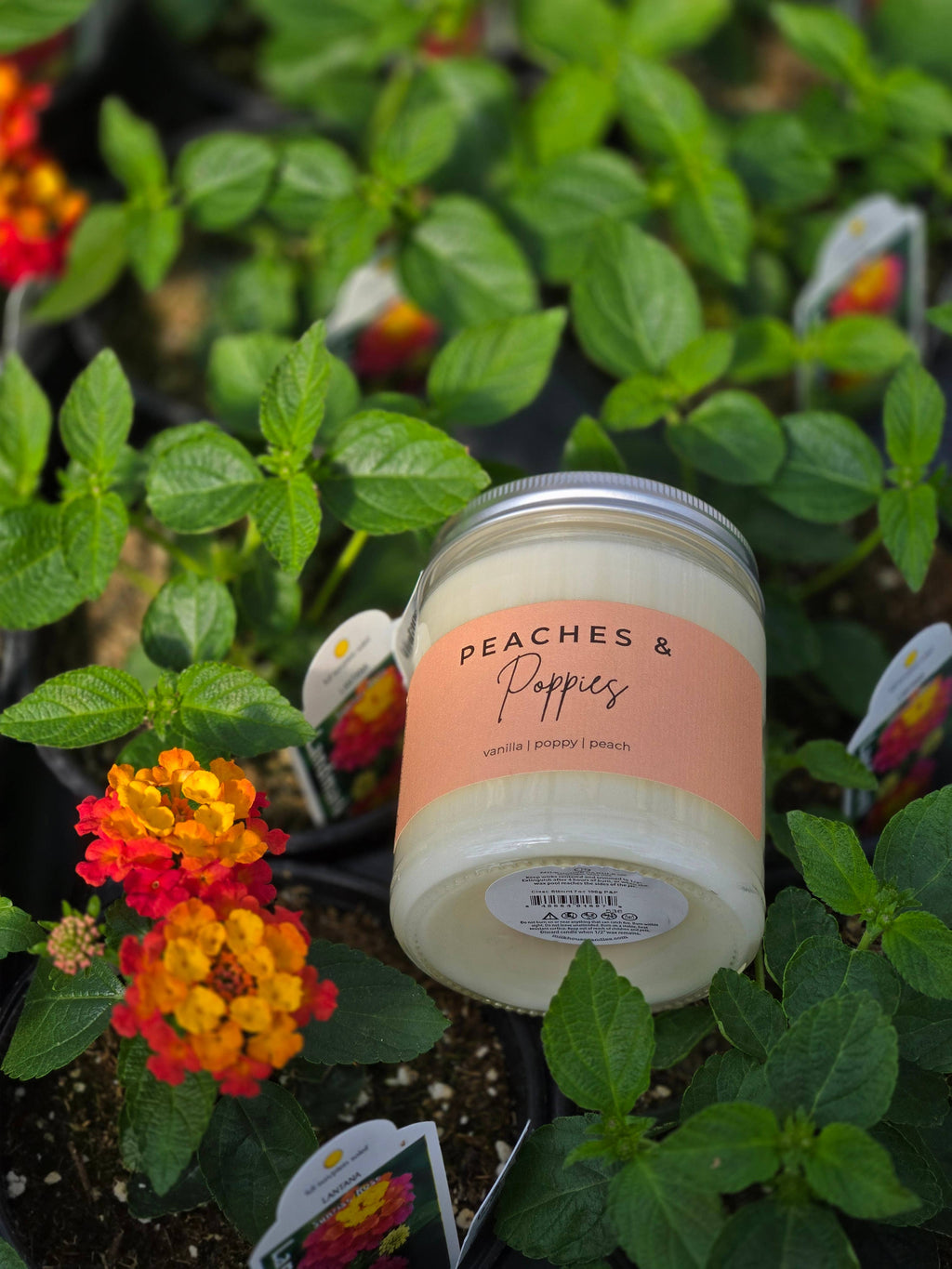 Peaches & Poppies | 7 oz Classic Statement Candle