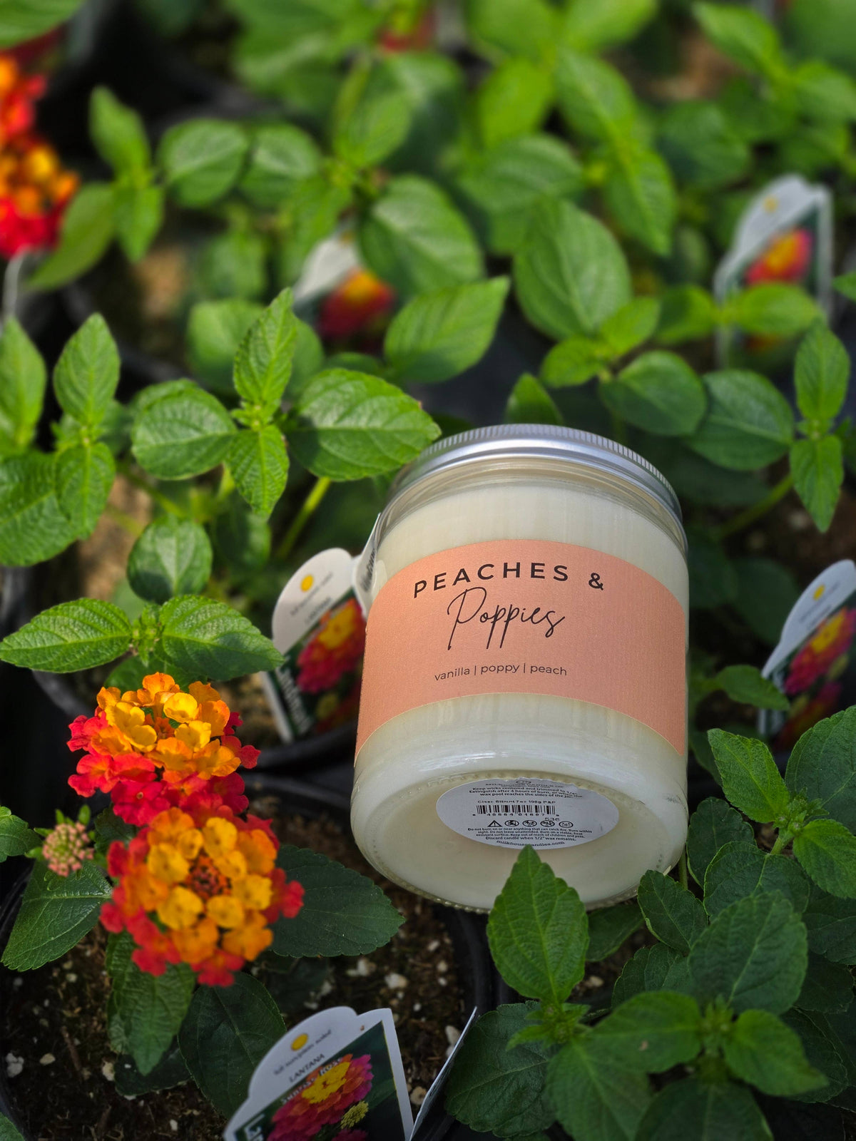 Peaches & Poppies | 7 oz Classic Statement Candle